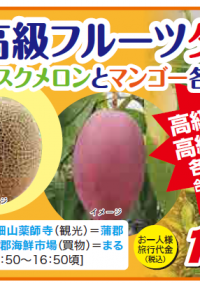 7/25.8/5.8/23発　出発決定！