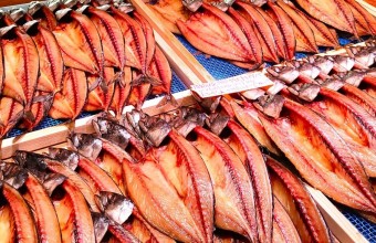 年末のお買い物はここで！南知多・魚太郎本店　大府げんきの郷・はなまる市【恵那発あり】